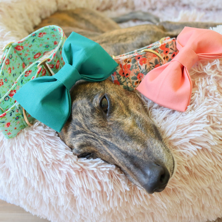 Oversized Dog Bow for Martingale Collars | Peach