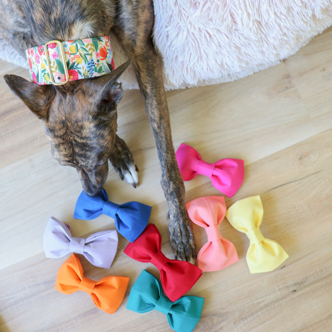Oversized Dog Bow for Martingale Collars | Pink