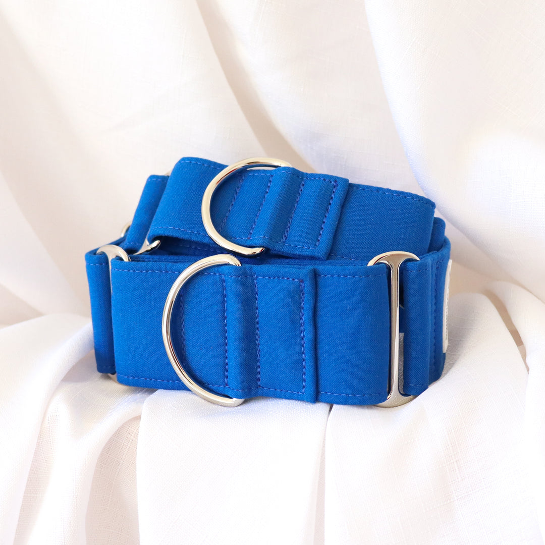 martingale dog collar blue