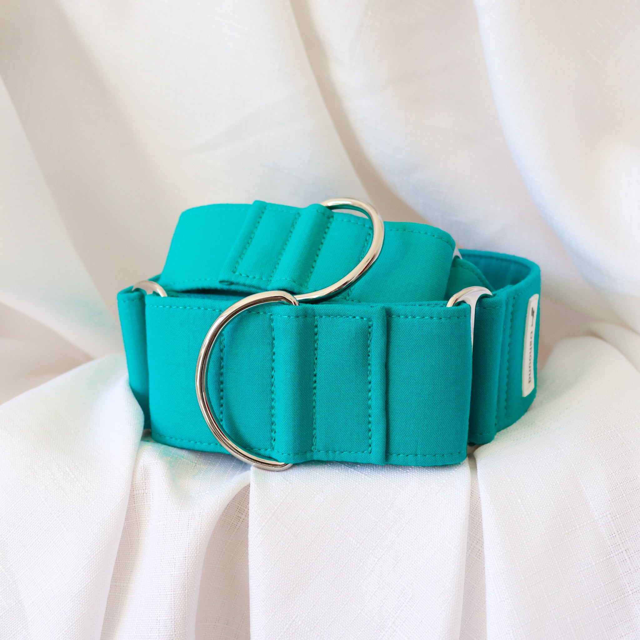 Teal martingale best sale dog collar