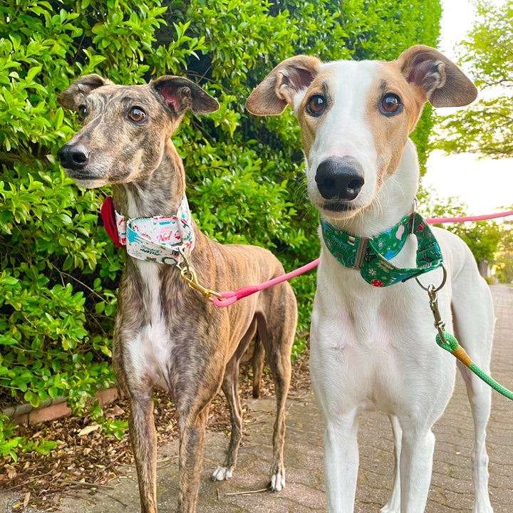 Wide Fabric Martingale Dog Collar | Green Christmas Fun [MADE TO ORDER]